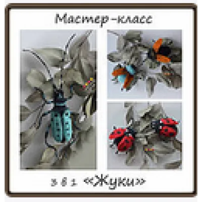 3 в 1 "Жуки" - Юлия Калмыкова