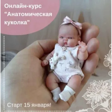 Анатомическая куколка