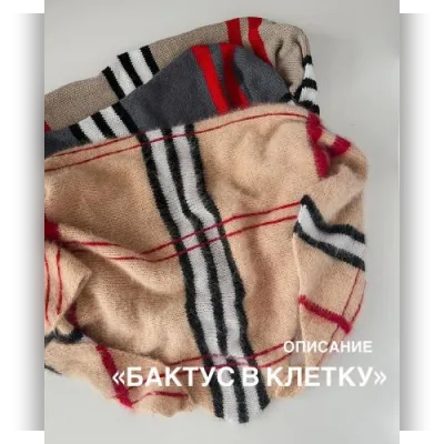 Бактус в клетку - Анастасия Ефремова