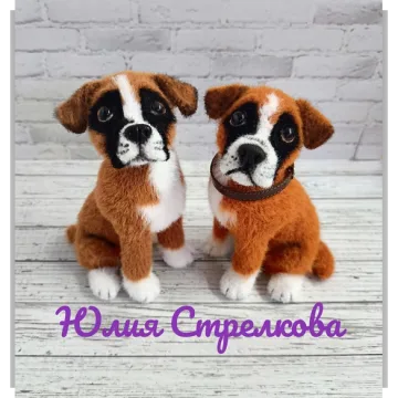 Боксер