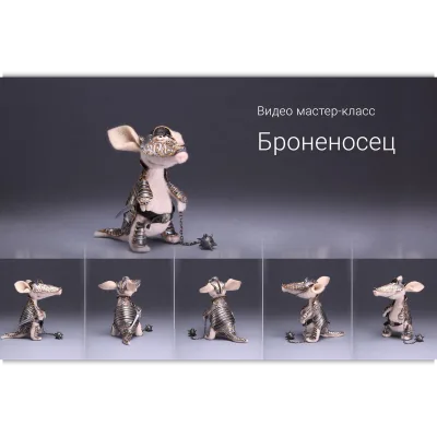 Броненосец - Ирина Егорова