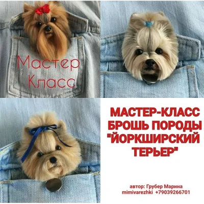 Брошь породы йоркширский терьер - Марина Грубер