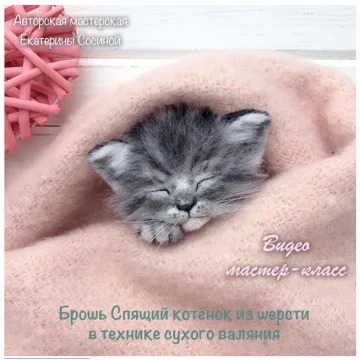 Брошь Спящий котенок из шерсти