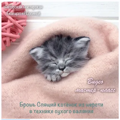 Брошь Спящий котенок из шерсти - Екатерина Сосина