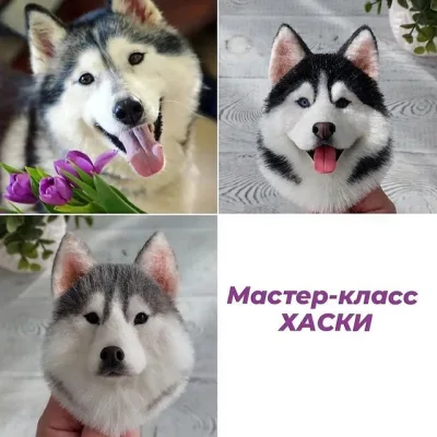 Брошь Хаски - Марина Грубер