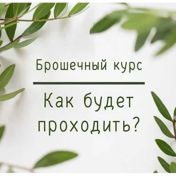 Брошечный курс