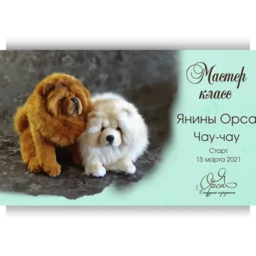 Чау-чау