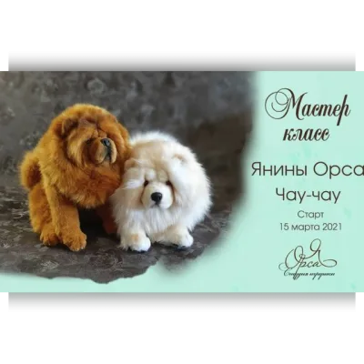 Чау-чау - Янина Орса