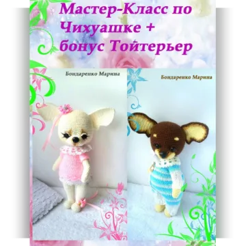 Чихуашка + Тойтерьер