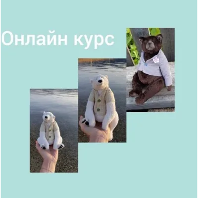 Два медведя. Курс от А до Я - Мария Боровая