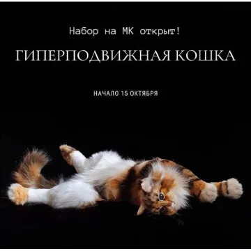 Гиперподвижная кошка