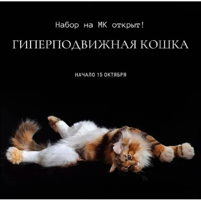 Гиперподвижная кошка - oxana.sher