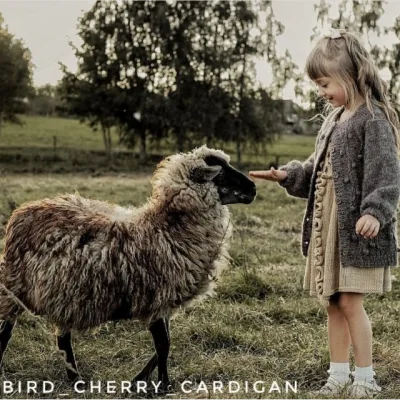 Кардиган детский Bird cherry - Марина Аюева