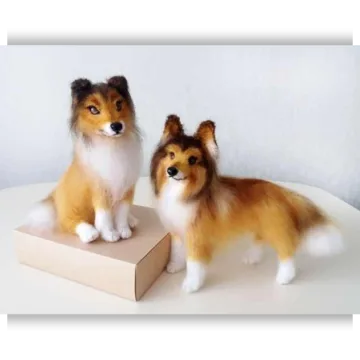 Колли