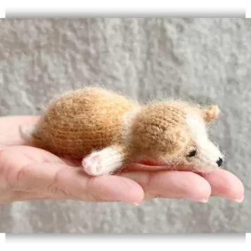 Корги