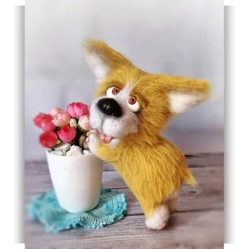 Корги