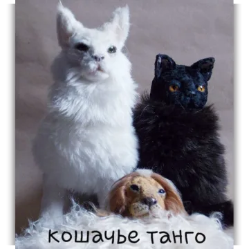 Кошачье танго