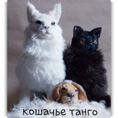 Кошачье танго - Анна Степанова