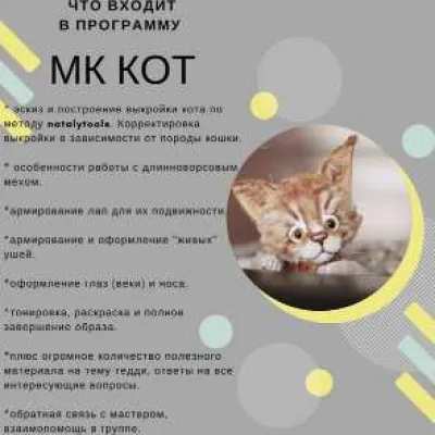 Кот - Наталья Толстыкина