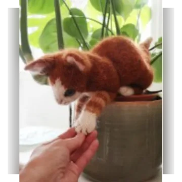 Котёнок New Kitten