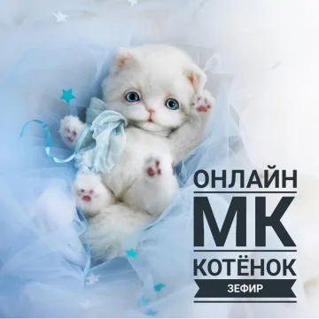 Котёнок Зефир