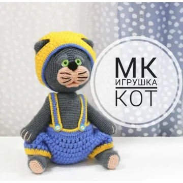 Котик в одежде
