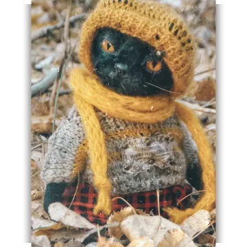 Котик Жан-Поль