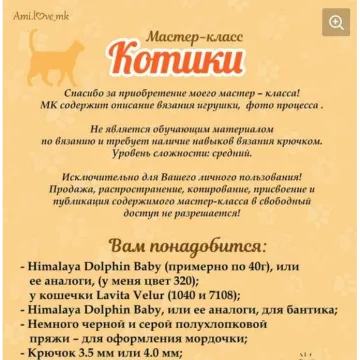Котики