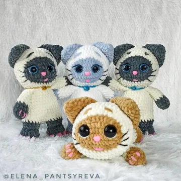 Котики Сиамцы
