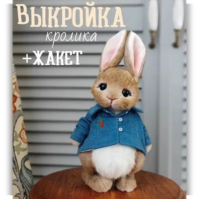 Кролик в жакете - Анна Турченко
