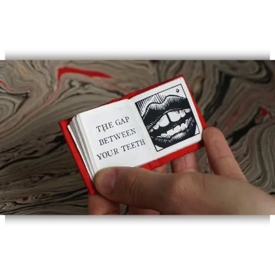 Крошечная книга. Переплет и иллюстрация - Evan Lorenzen