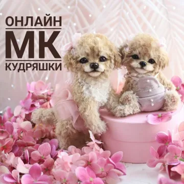 Кудряшки