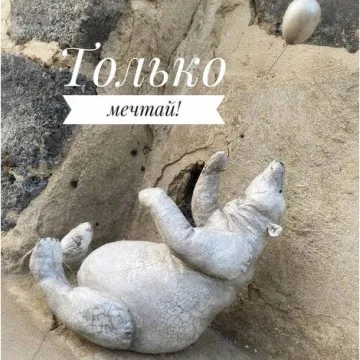 Курс по полярному медведю