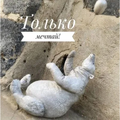 Курс по полярному медведю - Мария Морозова