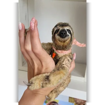 Ленивый пошив