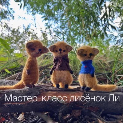 Лисенок Ли - Ирина Ни