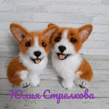 Малыш корги