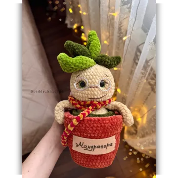 Мандрагора