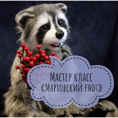 Мартовский Енот - Ирина Соболева