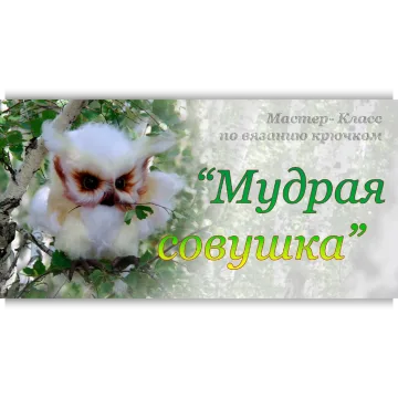 Мастер-Класс по вязанию крючком "Мудрая совушка"