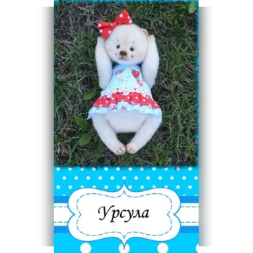 Мастер-класс Урсула