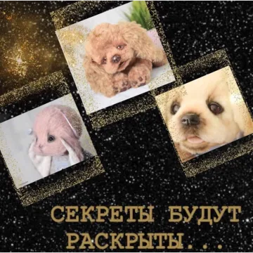 Мастер Класс «Живой Взгляд»