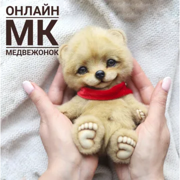 Медвежонок