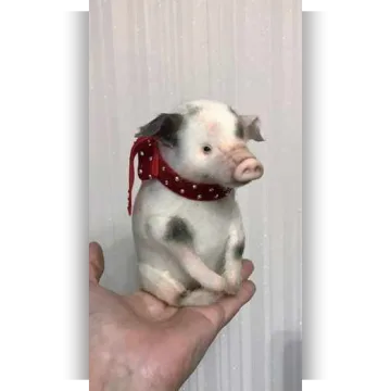 Мини хрюшка