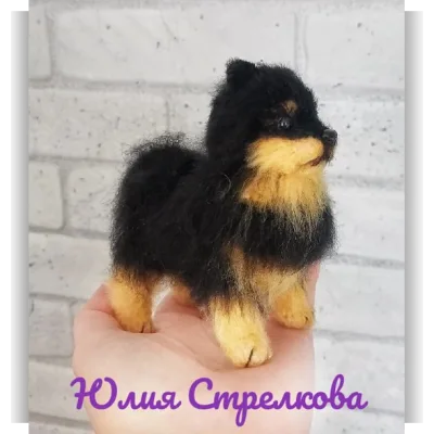 Миниатюрный шпиц - Юлия Стрелкова