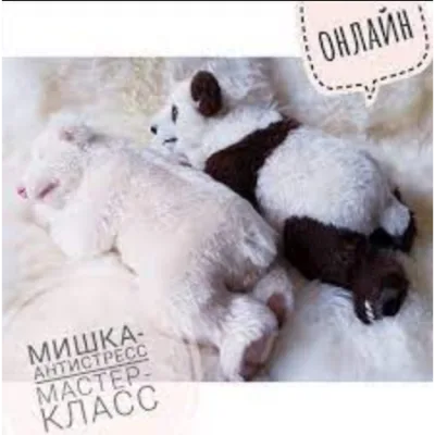 Мишка-Антистресс Мастер-класс онлайн - Veronika Heck