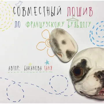 МК французского бульдога