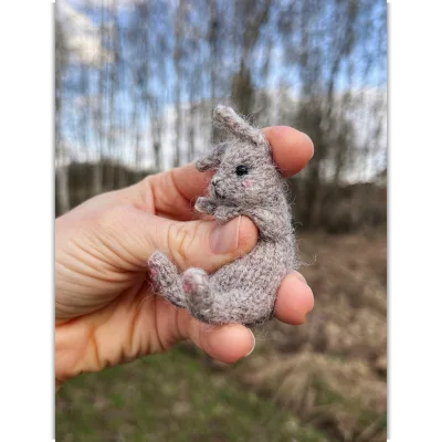 Мой милый кролик - Дарья Шарапова