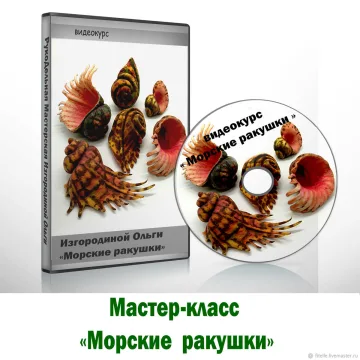 Морские ракушки