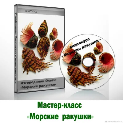 Морские ракушки - Ольга Изгородина